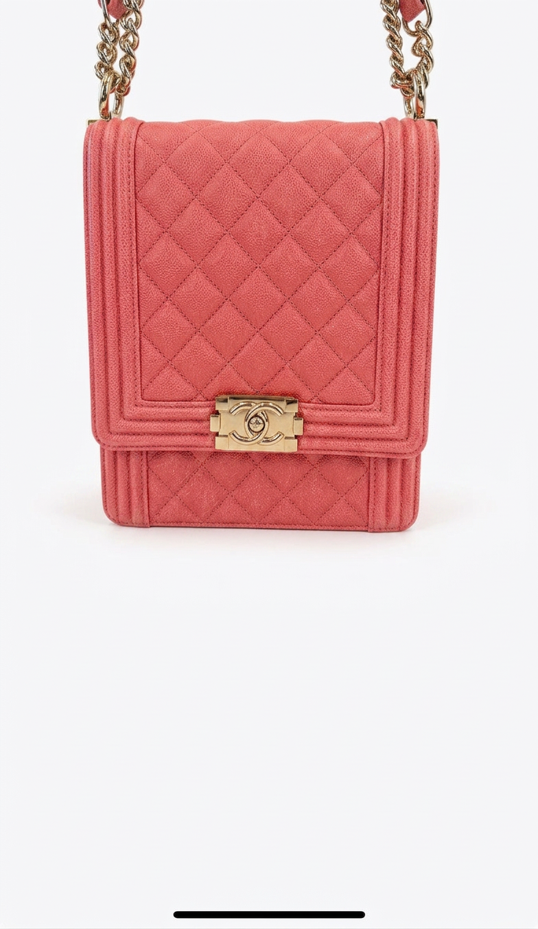 Boy Bag North-South — Coral Iridescent Caviar